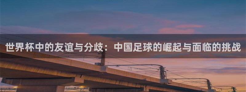 2026世界杯直播：世界杯中的友谊与分歧：中国足球的崛起与面临的挑战