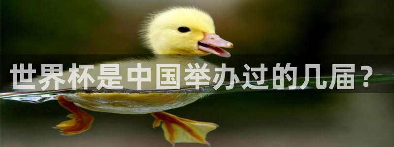 世界杯球赛：世界杯是中国举办过的几届？