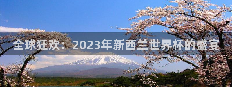 足球杯：全球狂欢：2023年新西兰世界杯的盛宴