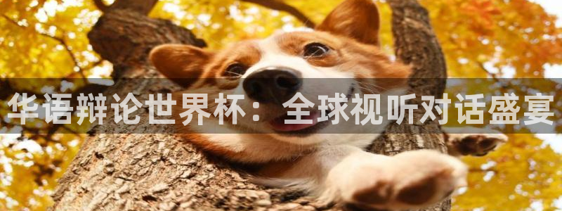 女足世界杯直播在线观看免费高清：华语辩论世界杯：全球视听对话盛宴