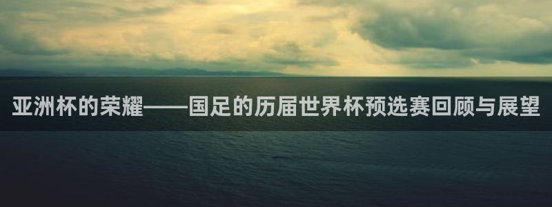 世界杯官网入口：亚洲杯的荣耀——国足的历届世界杯预选赛回顾与展望