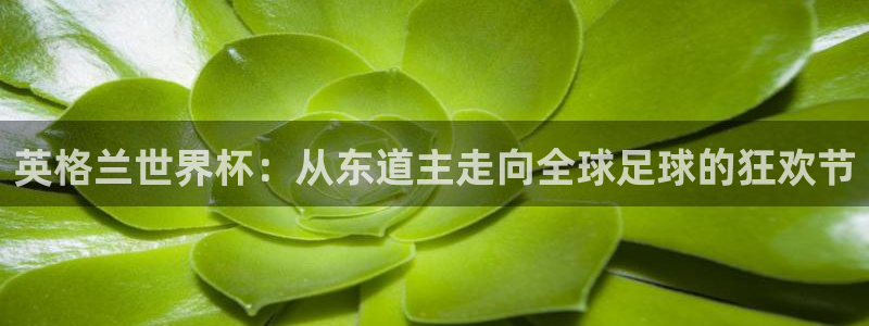 西超杯直播：英格兰世界杯：从东道主走向全球足球的狂欢节