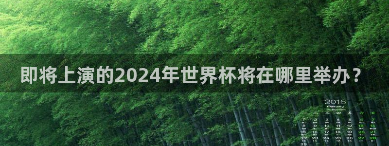 世界杯球赛：即将上演的2024年世界杯将在哪里举办？