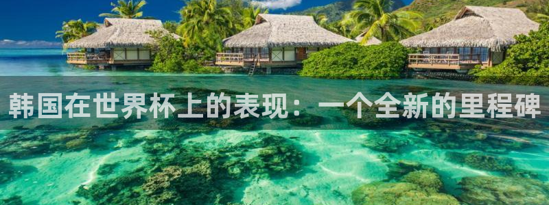 世界杯预选赛亚洲区积分榜：韩国在世界杯上的表现：一个全新的里程碑