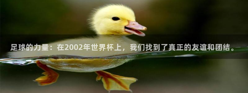 欧洲世界杯预选赛：足球的力量：在2002年世界杯上，我们找到了真正的友谊和团结。
