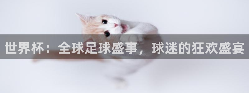 世界杯对阵图2026：世界杯：全球足球盛事，球迷的狂欢盛宴