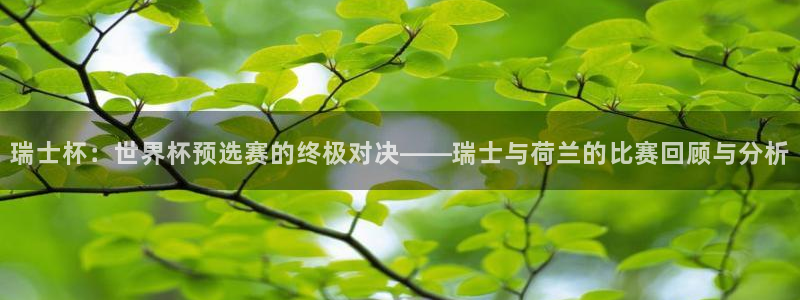 世界杯预选赛欧洲区赛程：瑞士杯：世界杯预选赛的终极对决——瑞士与荷兰的比赛回顾与分析