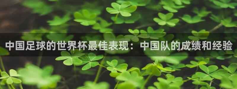 欧洲世界杯预选赛赛程：中国足球的世界杯最佳表现：中国队的成绩和经验