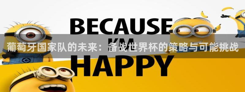 2006世界杯：葡萄牙国家队的未来：备战世界杯的策略与可能挑战