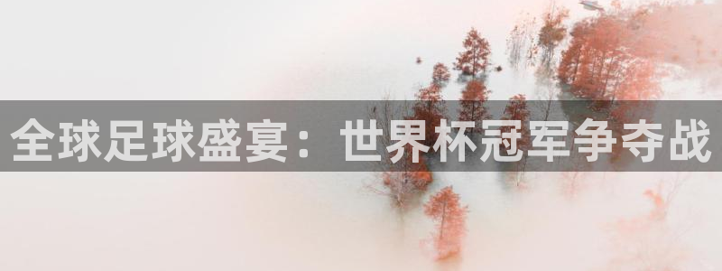 2026世界杯亚洲区预选赛赛程：全球足球盛宴：世界杯冠军争夺战