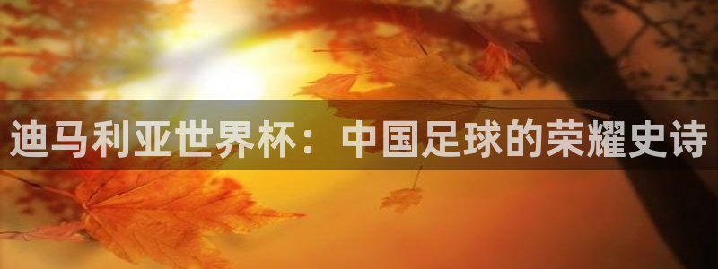 世界杯亚洲区预选赛赛程：迪马利亚世界杯：中国足球的荣耀史诗
