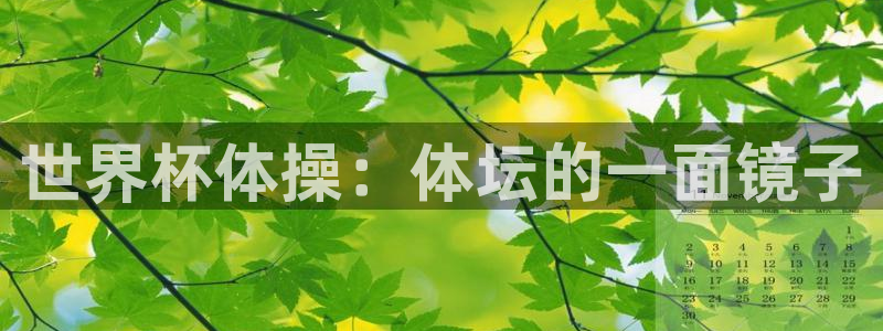世界杯足球直播：世界杯体操：体坛的一面镜子