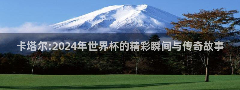 世界杯足球赛2026：卡塔尔:2024年世界杯的精彩瞬间与传奇故事