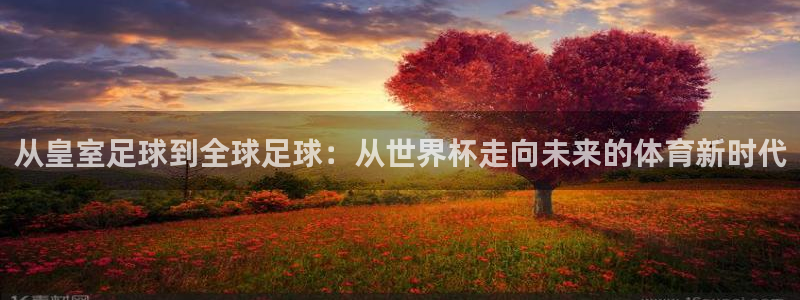 世界杯欧洲预选赛赛程：从皇室足球到全球足球：从世界杯走向未来的体育新时代