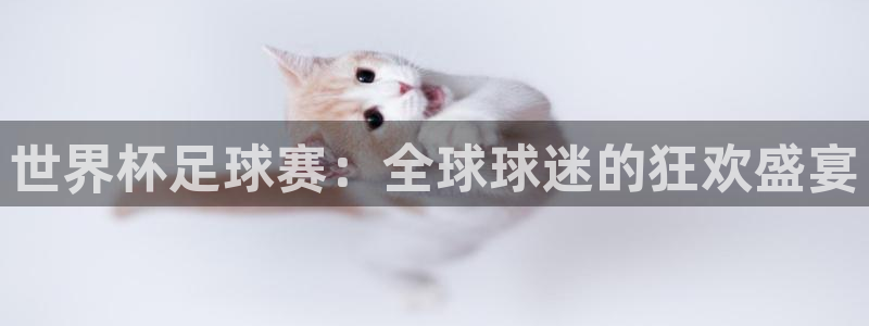 足球世界杯预选赛：世界杯足球赛：全球球迷的狂欢盛宴
