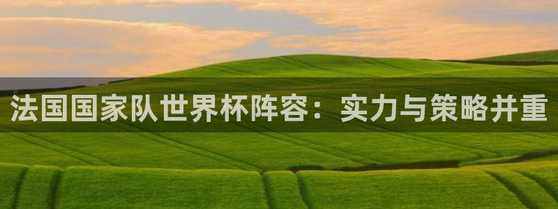2026世界杯德国队阵容：法国国家队世界杯阵容：实力与策略并重
