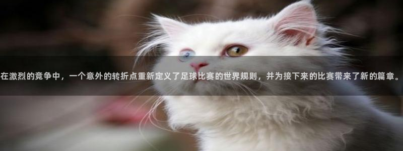 2026世界杯赛程：在激烈的竞争中，一个意外的转折点重新定义了足球比赛的世界规则，并为接下来的比赛带来了新的篇章。