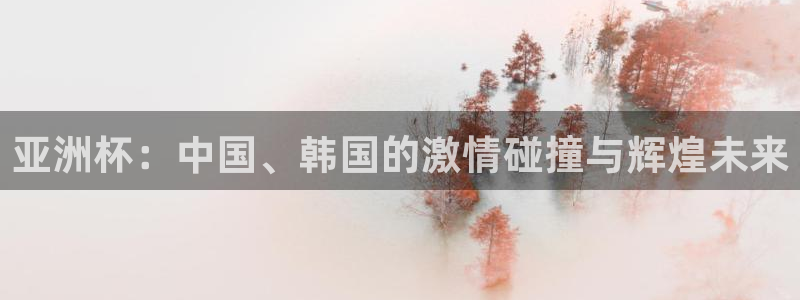 世界杯女足直播：亚洲杯：中国、韩国的激情碰撞与辉煌未来